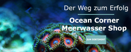 Ocean Corner Online Meerwasser Shop DSR Reefing
