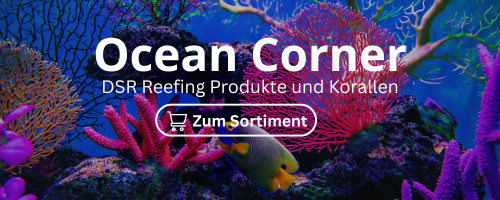 Ocean Corner Online Meerwasser Shop DSR Reefing
