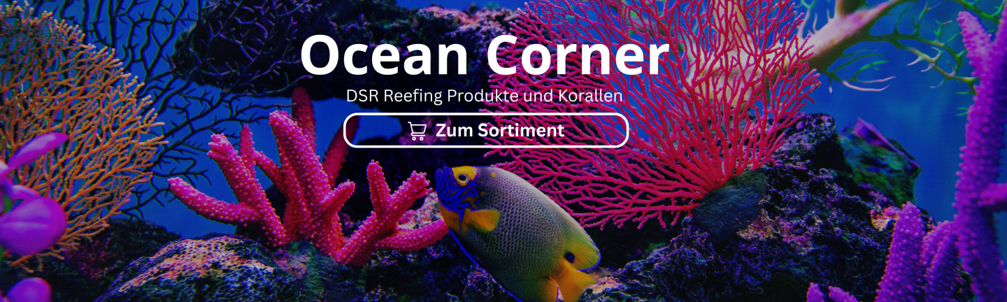 Ocean Corner Online Meerwasser Shop DSR Reefing
